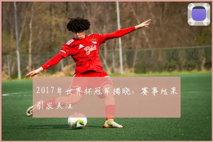 2017年世界杯冠军揭晓,赛事结果引发关注