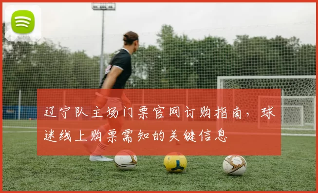 辽宁队主场门票官网订购指南，球迷线上购票需知的关键信息