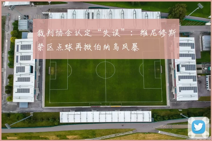 裁判协会认定“失误”：维尼修斯禁区点球再掀伯纳乌风暴
