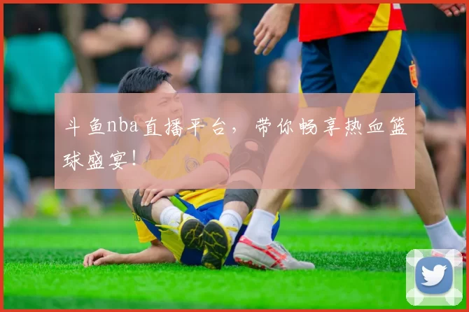 斗鱼nba直播平台，带你畅享热血篮球盛宴！