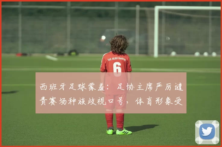 西班牙足球蒙羞：足协主席严厉谴责赛场种族歧视口号，体育形象受损