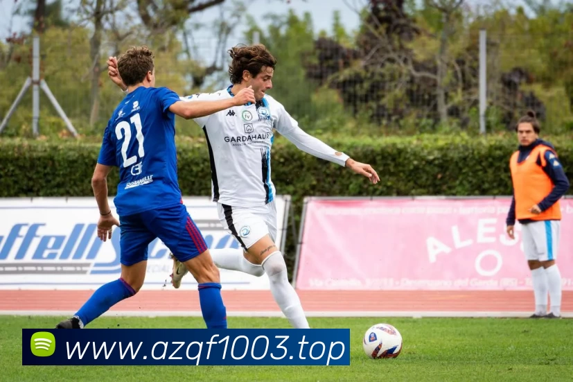 开云(中国)Kaiyun·体育官方网站 - 登录入口发展历程