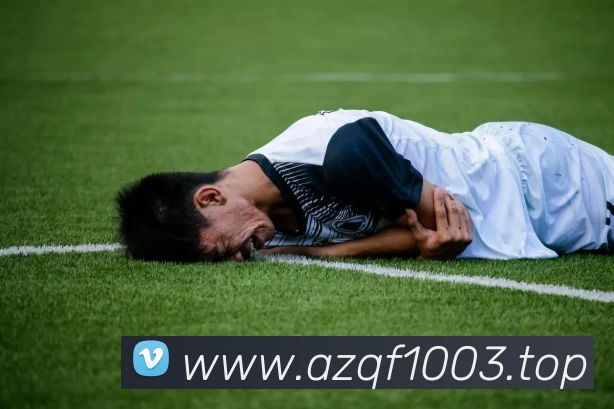 App Interface Preview