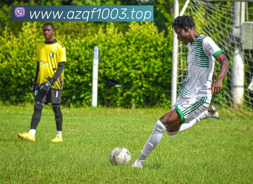 开云(中国)Kaiyun·体育官方网站 - 登录入口APP 高清赛事图